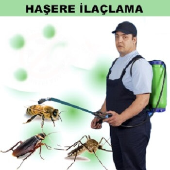 Kadışehri Böcek İlaçlama